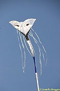32 FESTIVAL CERVIA 2012 - 237